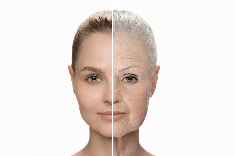 Sunlight and Skin: An Introductory Course on Photo Aging